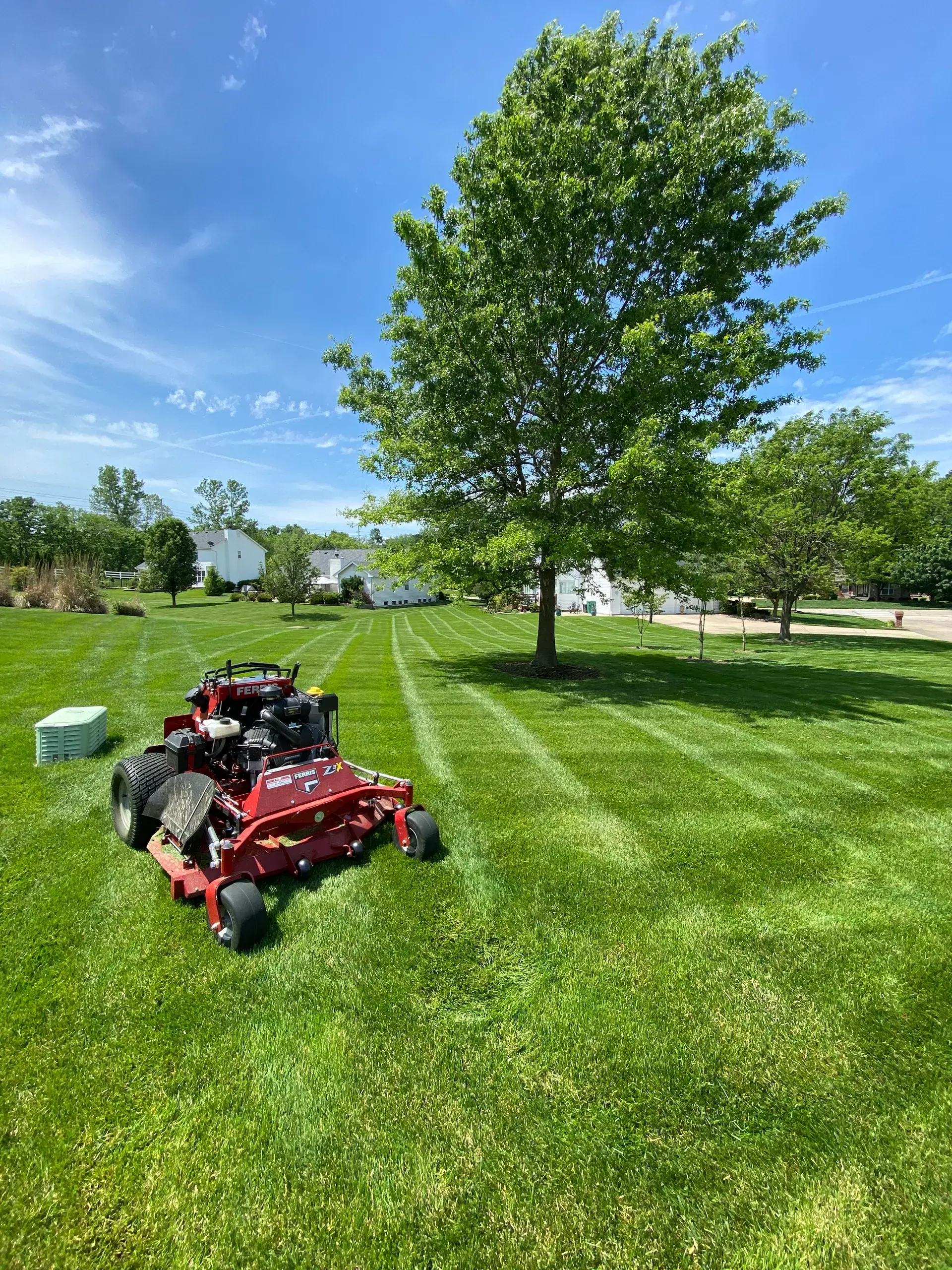 Professional lawn mowing service in St. Louis, MO with rideable mower on a freshly mowed, healthy green lawn