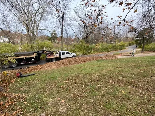 Professional leaf removal service in St. Louis, MO with Porter's Lawn Service truck working on a heavily leafy lawn during fall cleanup
