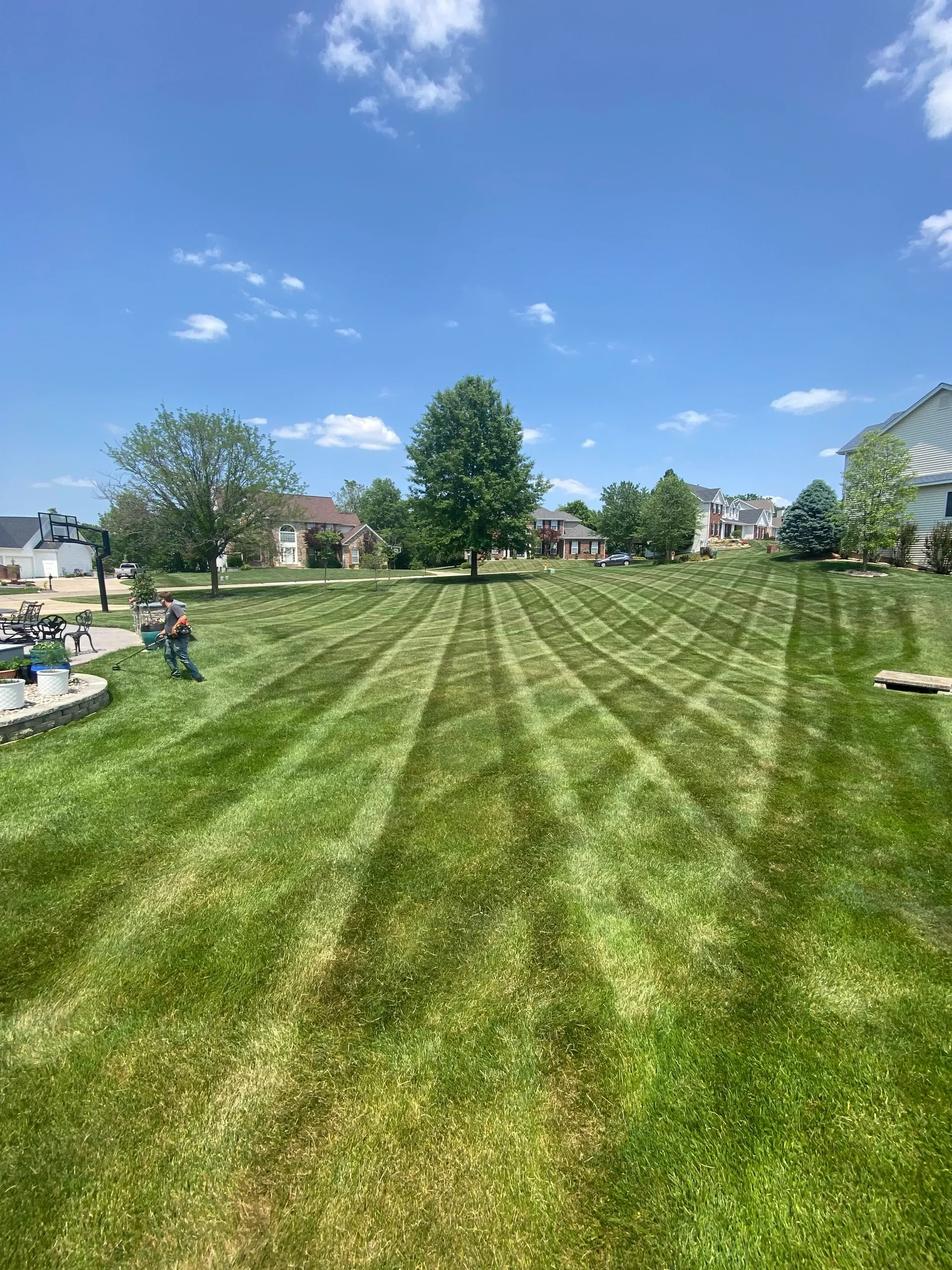 Professional landscaping service in St. Louis, MO showing beautifully designed outdoor space with plantings and hardscape