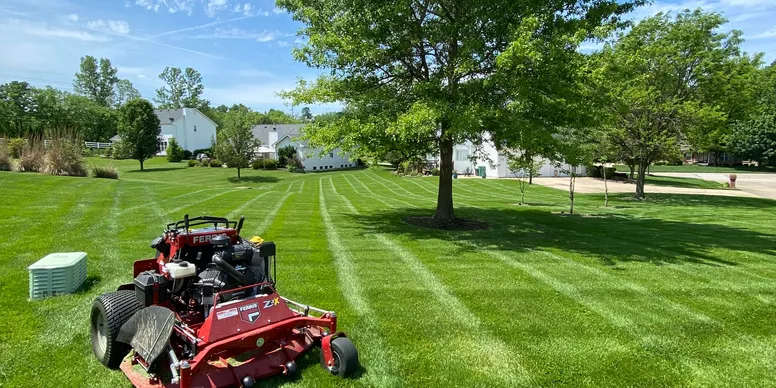 Professional landscape maintenance service in St. Louis, MO showing freshly cut lawn with rideable mower