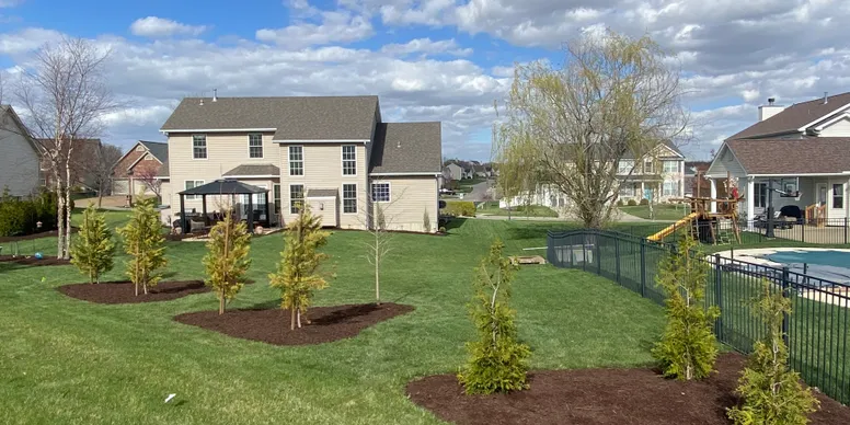 Professional tree care and landscaping service in St. Louis, MO showing nicely landscaped backyard with trees